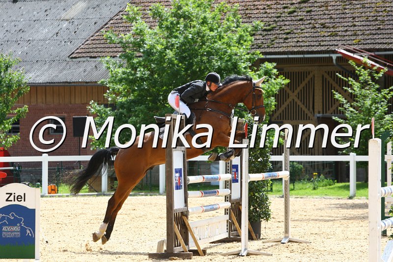 006L7177_Spring L.JPG